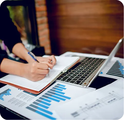 Professional Tax Help