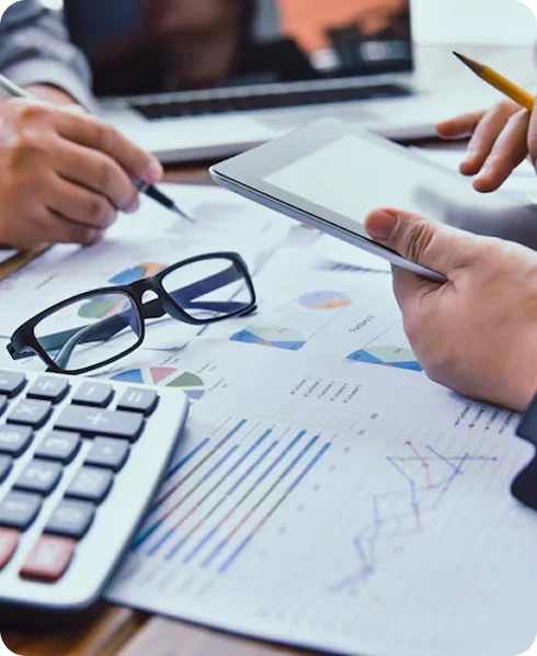 Tax Planning Support