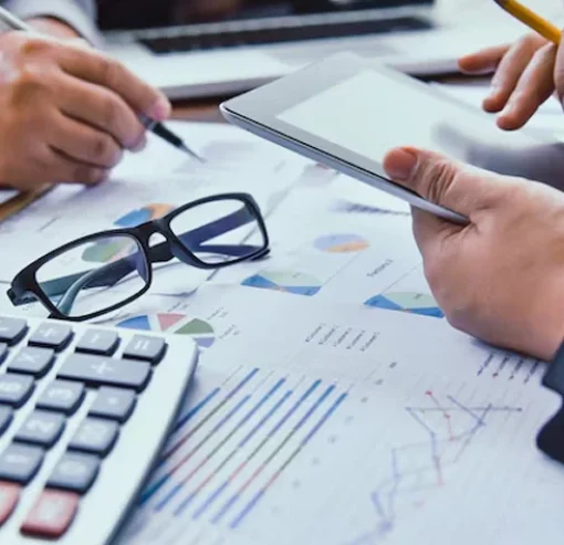 Tax Planning Support